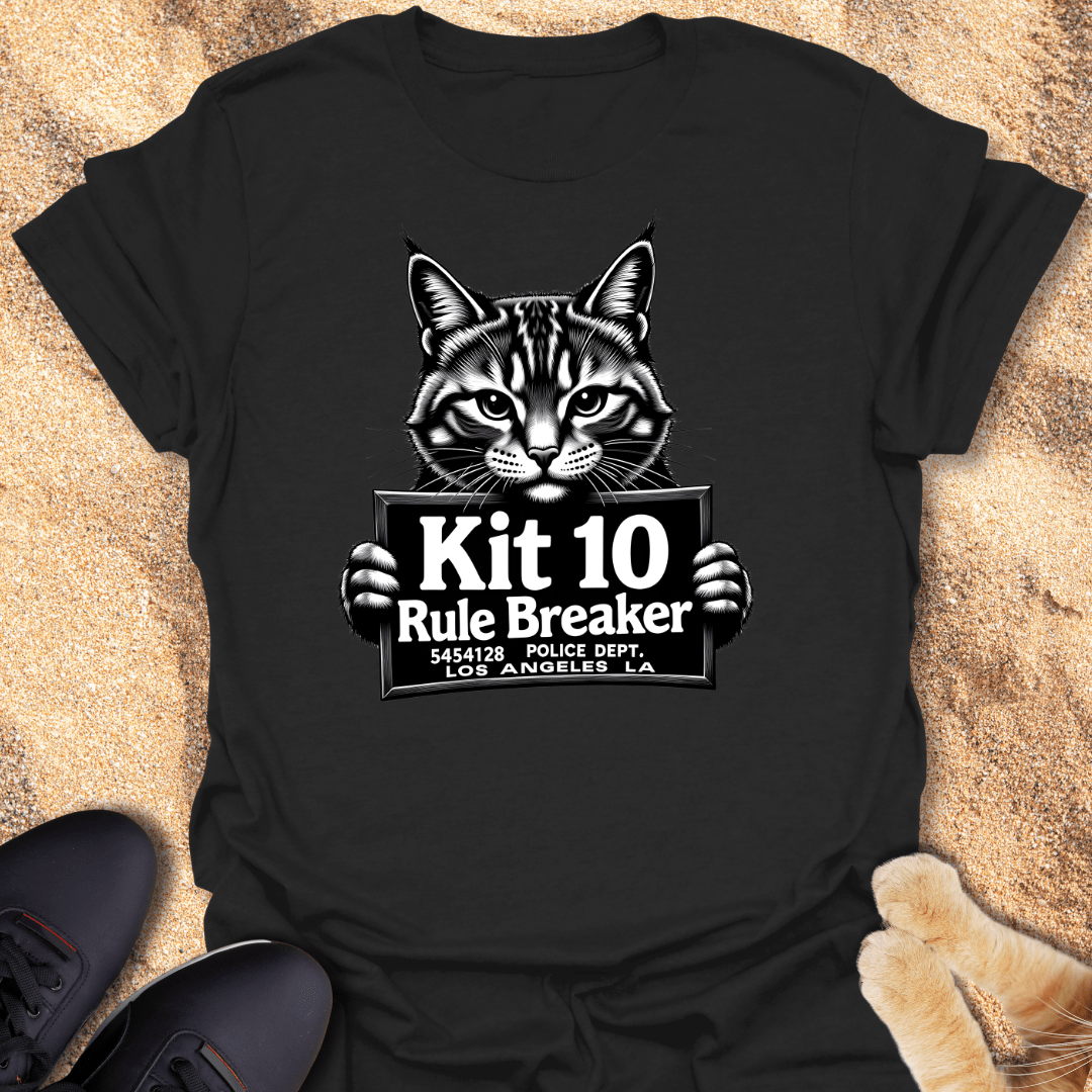Kit 10 Rule Breaker T-Shirt 63152238606958947203
